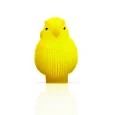 Birds Puffer Toys for Kids