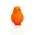 Birds Puffer Toys for Kids